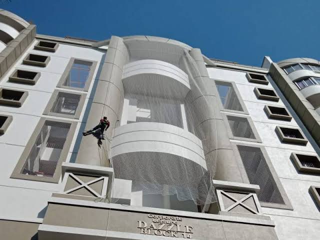 Pigeon Safety Nets